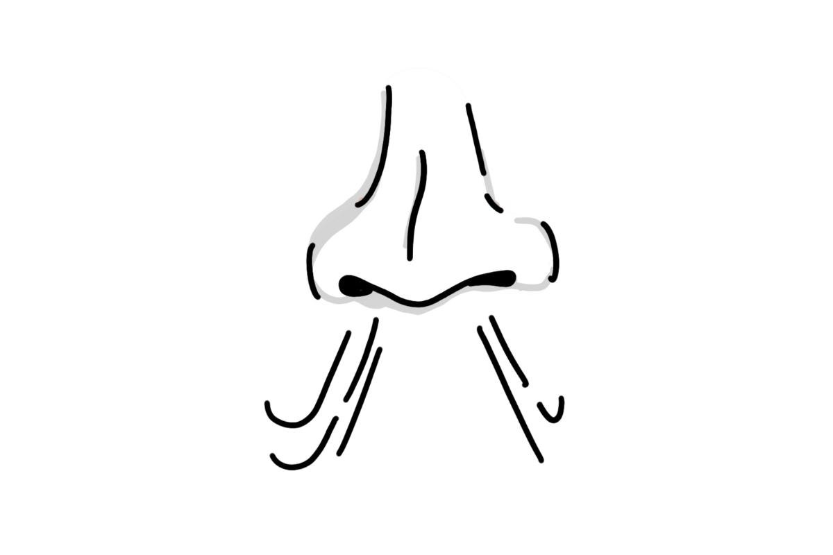 Design ohne Titel