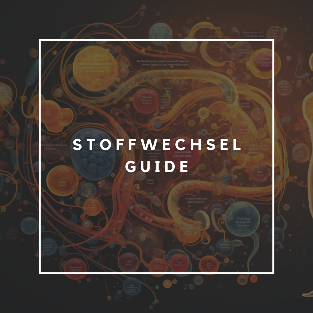 Kopie von Kopie von Wie entstehen Gewohnheiten 1